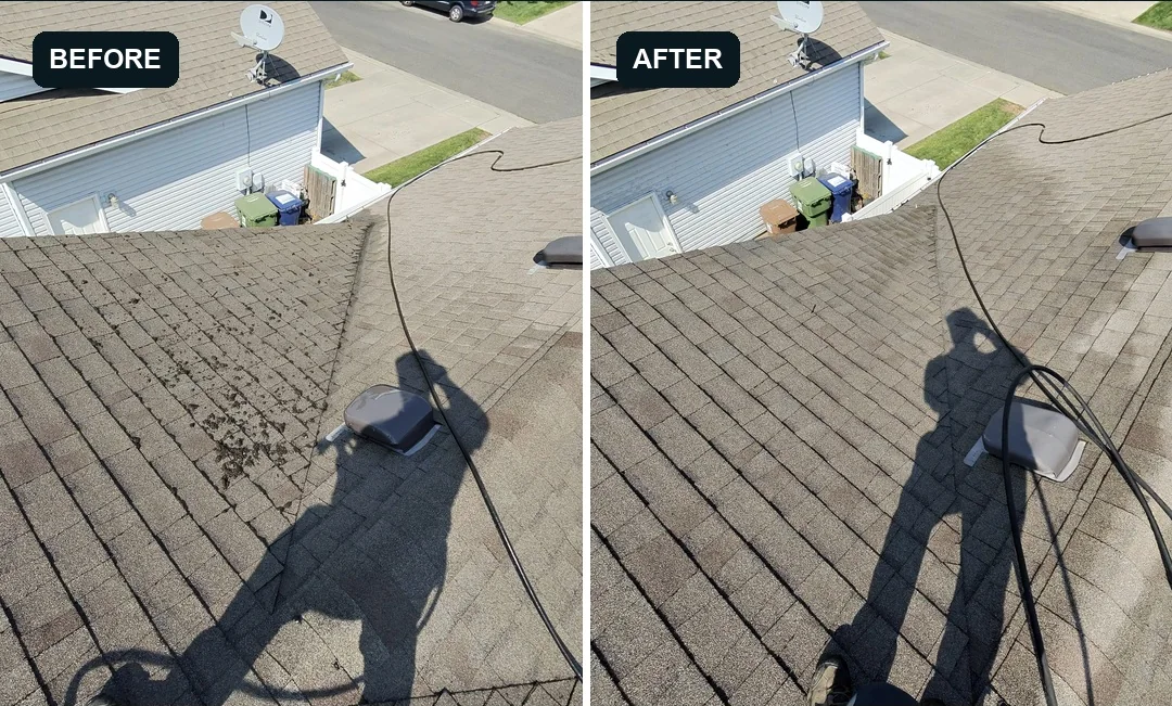 Before and after example of moss removed from roof shingles