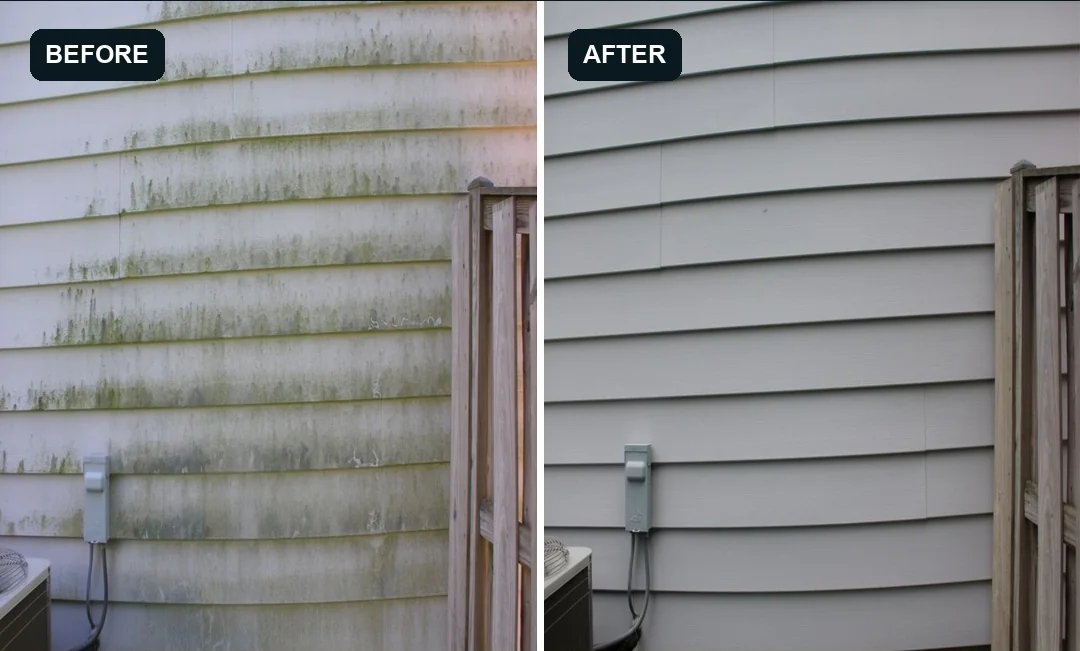 Before and after example of organic growth removed from home siding